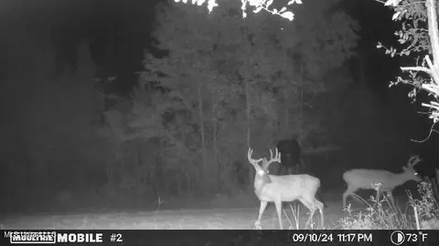 002 Hebron Rd, Lexington, MS 39095 photo 39