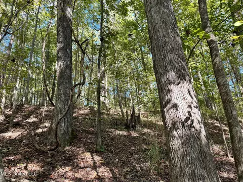002 Hebron Rd, Lexington, MS 39095 photo 15