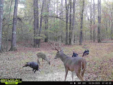 002 Hebron Rd, Lexington, MS 39095