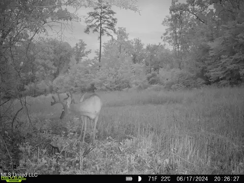 002 Hebron Rd, Lexington, MS 39095 photo 25