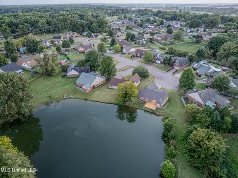 7534 Ally Cv, Walls, MS 38680 photo 32