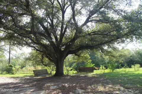 Exterior - 1728 Scr 86, Mize, MS 39116 photo 9 of 16