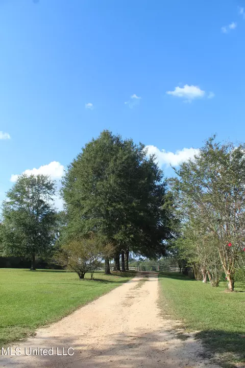 Other - 1728 Scr 86, Mize, MS 39116 photo 15 of 27