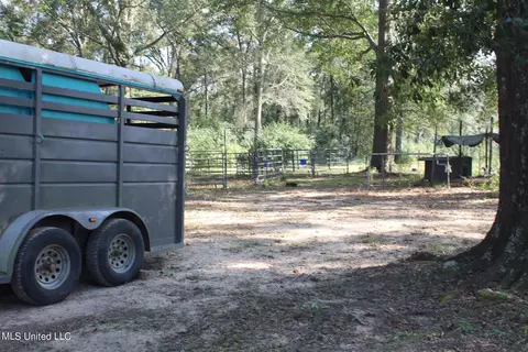 Exterior - 1728 Scr 86, Mize, MS 39116 photo 15 of 16