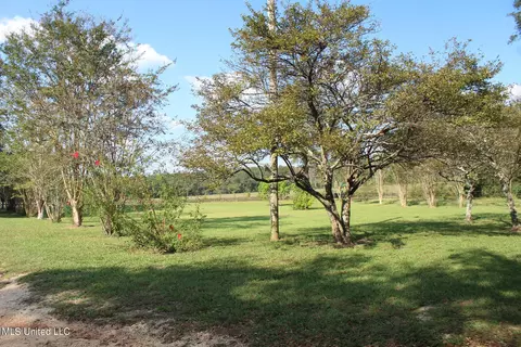 Exterior - 1728 Scr 86, Mize, MS 39116 photo 8 of 16