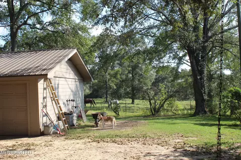 Exterior - 1728 Scr 86, Mize, MS 39116 photo 11 of 16