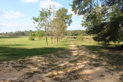 Exterior - 1728 Scr 86, Mize, MS 39116 photo 6 of 16