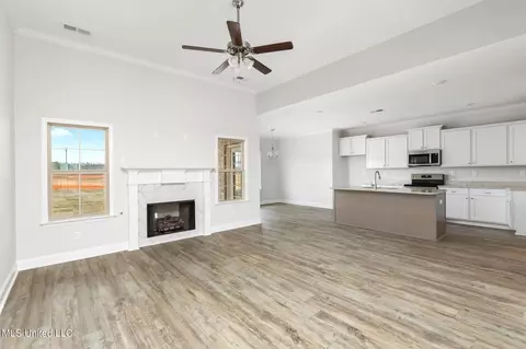 2427 Scott Meadows Ln, Hernando, MS 38632 photo 5