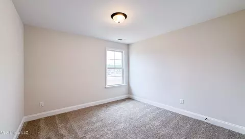 3931 Winter Pointe Dr, Olive Branch, MS 38654 photo 24
