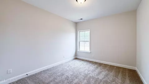 3931 Winter Pointe Dr, Olive Branch, MS 38654 photo 19