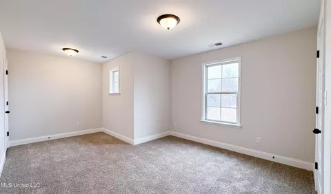 3931 Winter Pointe Dr, Olive Branch, MS 38654 photo 21