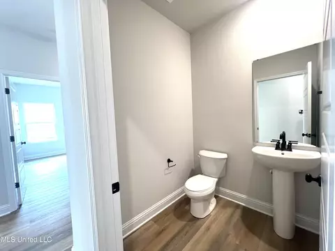 Bath - 13565 Sarus Dr, Vancleave, MS 39565 photo 3 of 4