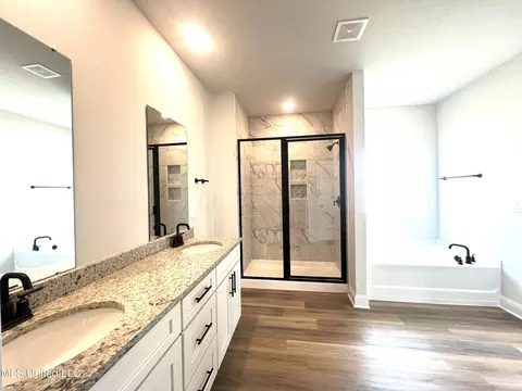 Bath - 13565 Sarus Dr, Vancleave, MS 39565 photo 1 of 4