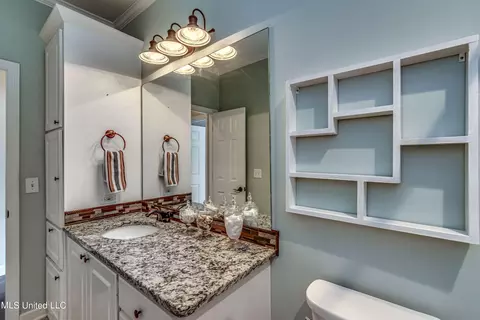 Bath - 219 Terrace Dr, Brandon, MS 39042 photo 6 of 6