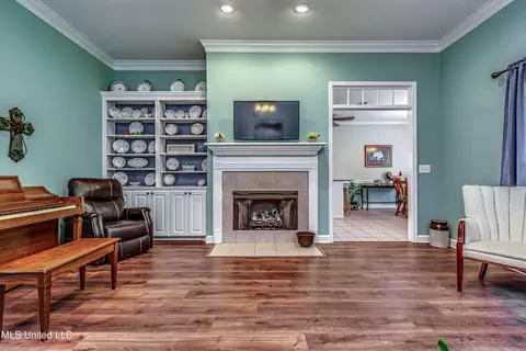Living - 219 Terrace Dr, Brandon, MS 39042 photo 4 of 4
