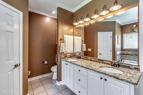 Bath - 219 Terrace Dr, Brandon, MS 39042 photo 1 of 6