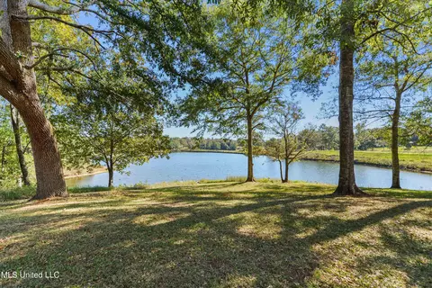View/Area - 136 Blue Lakes Dr, Lucedale, MS 39452 photo 1 of 7