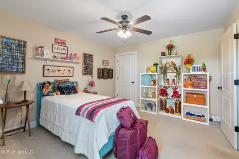 3217 S Emery Cir, Nesbit, MS 38651 photo 31
