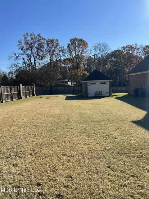 3217 S Emery Cir, Nesbit, MS 38651 photo 45