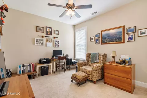 3217 S Emery Cir, Nesbit, MS 38651 photo 22