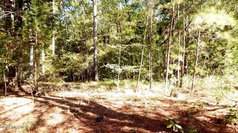 14 5012 Country Rd, Como, MS 38619