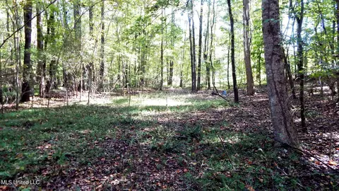 14 5012 Country Rd, Como, MS 38619 photo 7