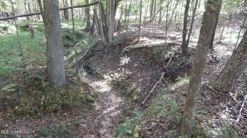 14 5012 Country Rd, Como, MS 38619 photo 8