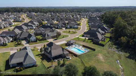 View/Area - 1404 Ruby Pointe, Flowood, MS 39232 photo 7 of 10