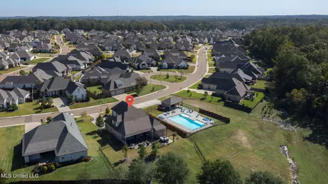 View/Area - 1404 Ruby Pointe, Flowood, MS 39232 photo 8 of 10