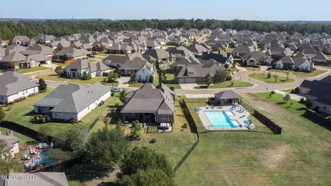 View/Area - 1404 Ruby Pointe, Flowood, MS 39232 photo 3 of 10