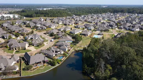 View/Area - 1404 Ruby Pointe, Flowood, MS 39232 photo 5 of 10