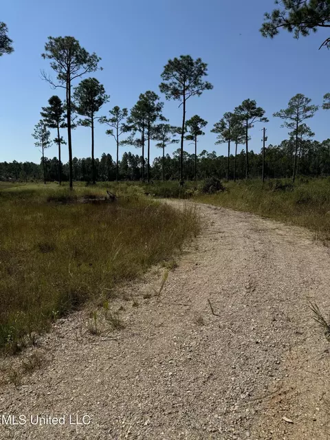 0 Dantzler Rd, Vancleave, MS 39565