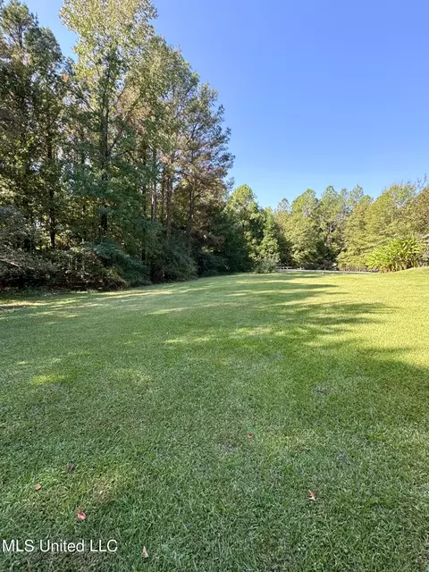 111 Horseshoe Lane Ln, Flora, MS 39071 photo 3