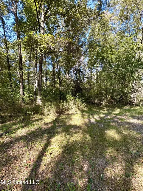 111 Horseshoe Lane Ln, Flora, MS 39071 photo 42