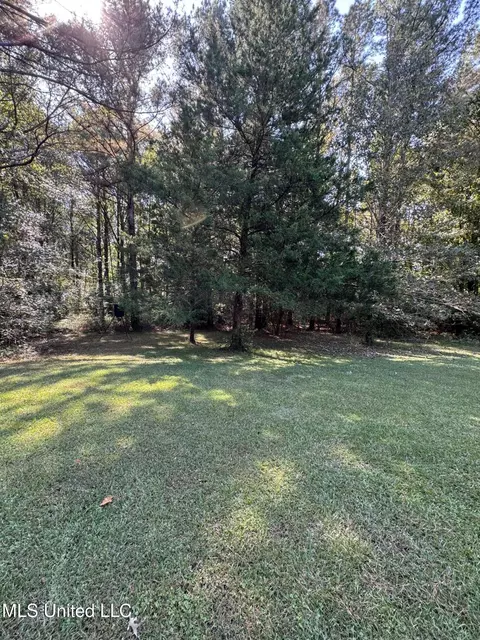 111 Horseshoe Lane Ln, Flora, MS 39071 photo 45