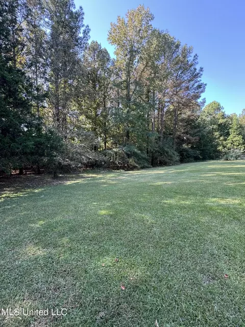 111 Horseshoe Lane Ln, Flora, MS 39071 photo 46