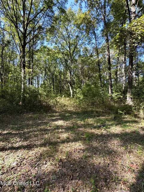 111 Horseshoe Lane Ln, Flora, MS 39071 photo 44