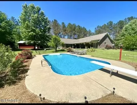 111 Horseshoe Lane Ln, Flora, MS 39071 photo 7
