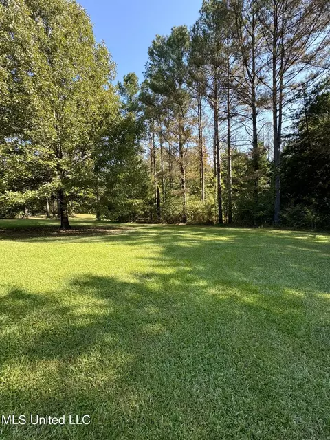 111 Horseshoe Lane Ln, Flora, MS 39071 photo 2
