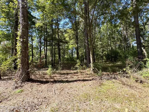111 Horseshoe Lane Ln, Flora, MS 39071 photo 43