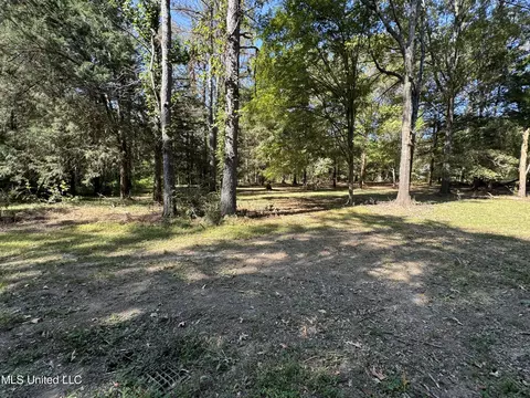 111 Horseshoe Lane Ln, Flora, MS 39071 photo 41