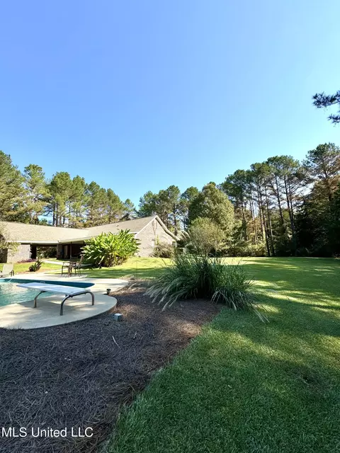 111 Horseshoe Lane Ln, Flora, MS 39071 photo 5