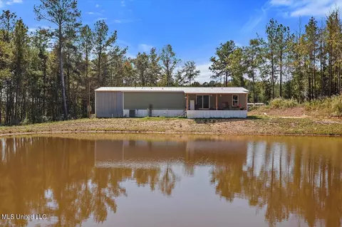 30 Craig Road Rd, Lena, MS 39094 photo 31