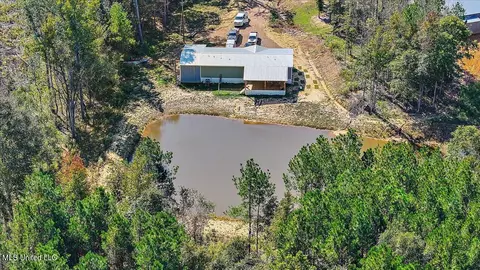 30 Craig Road Rd, Lena, MS 39094 photo 35