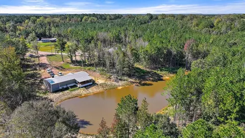30 Craig Road Rd, Lena, MS 39094 photo 34