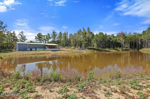 30 Craig Road Rd, Lena, MS 39094 photo 30