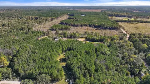 30 Craig Road Rd, Lena, MS 39094 photo 32