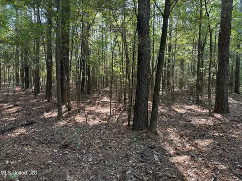 Deerwood Crossing, Canton, MS 39046 photo 3