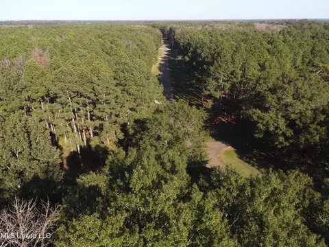 Deerwood Crossing, Canton, MS 39046 photo 6