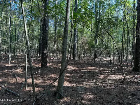 Deerwood Crossing, Canton, MS 39046 photo 2